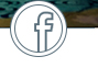 facebook專頁