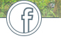 facebook專頁